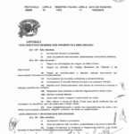 13 estatuto 2024 (1) page 0010